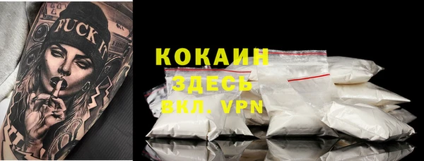 крисы Вязьма