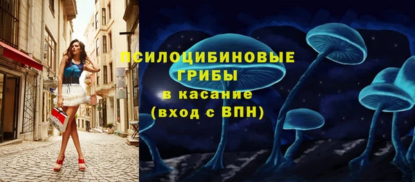 крисы Вязьма