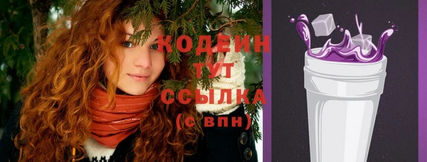 крисы Вязьма
