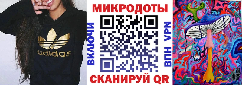 Галлюциногенные грибы Psilocybe  Купить закладки  Котово 
