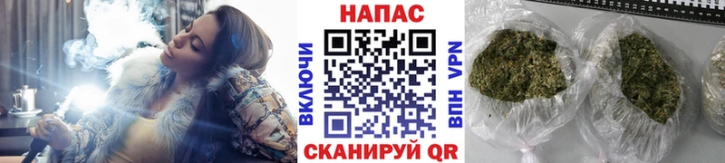 Купить где  Котово  Канабис индика 